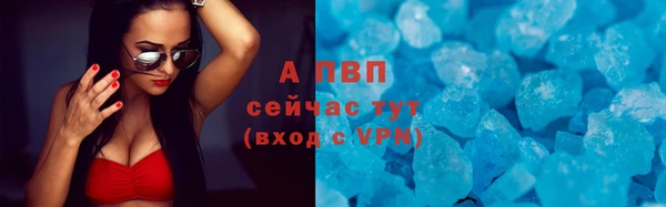 стафф Арсеньев