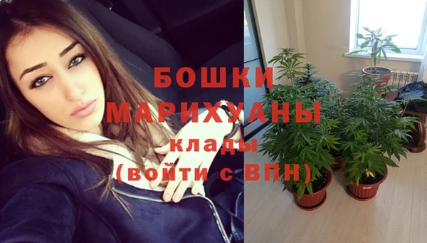 apvp Аркадак