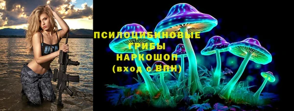 стафф Арсеньев